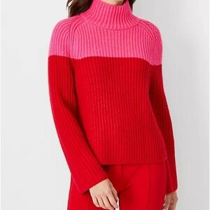 Ann Taylor  winter sweater oversized